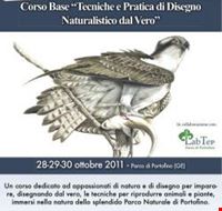 tecniche_e_pratica_di_disegno_naturalistico_dal_vero tecniche_e_pratica_di_disegno_naturalistico_dal_vero