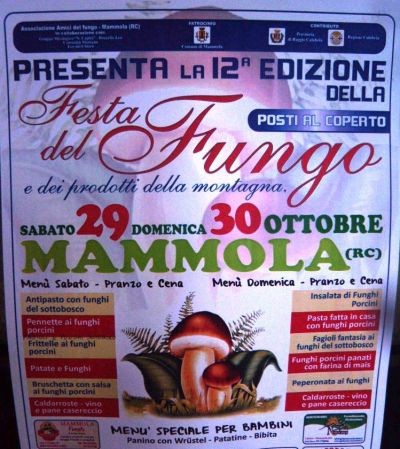 festa_del_fungo_di_mammola