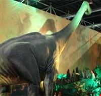 days_of_e_dinosaur days_of_e_dinosaur