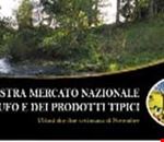 mostra_mercato_nazionale_del_tartufo mostra_mercato_nazionale_del_tartufo