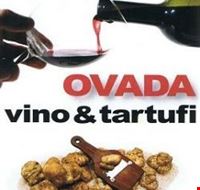 ovada_vino_e_tarufi ovada_vino_e_tarufi