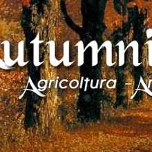 autumnia