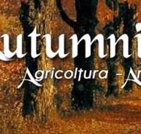 autumnia autumnia