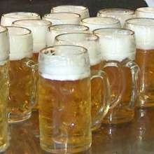 terredibirra