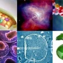 perugia_science_fest__2011