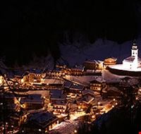 sauris sauris