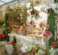 mercatino_di_natale_nel_borgo mercatino_di_natale_nel_borgo