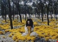 a_meno_di_non_ricorrere_a_una_fotografia a_meno_di_non_ricorrere_a_una_fotografia