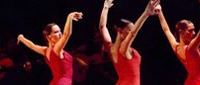 sorrento_incontra_il_flamenco sorrento_incontra_il_flamenco