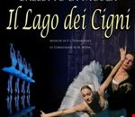 il_lago_dei_cigni il_lago_dei_cigni