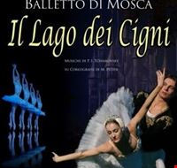 il_lago_dei_cigni il_lago_dei_cigni