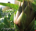 e_tempo_di_carciofi e_tempo_di_carciofi