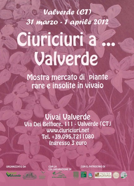 ciuriciuri_a_valverde