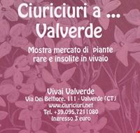 ciuriciuri_a_valverde ciuriciuri_a_valverde