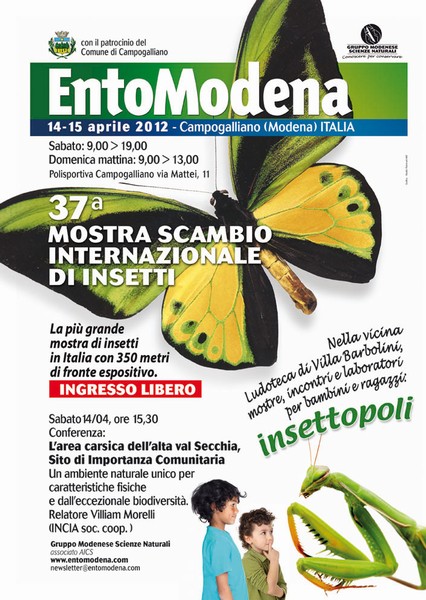 entomodena