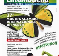 entomodena entomodena