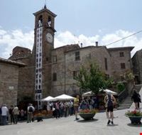 citerna citerna