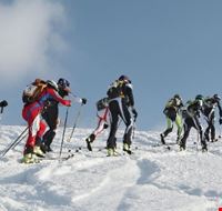 pizolada_delle_dolomiti pizolada_delle_dolomiti