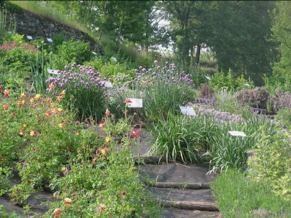 le_aromatiche_della_cascina