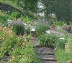 le_aromatiche_della_cascina le_aromatiche_della_cascina