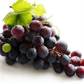 sagra_del_lambrusco_e_degli_spiriti_divini