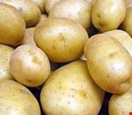 sagra_della_patata sagra_della_patata