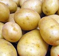 sagra_della_patata sagra_della_patata