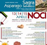 sagra_dell_asparago_selvatico sagra_dell_asparago_selvatico