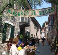 morsasco_in_fiore morsasco_in_fiore