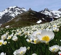 limone_piemonte limone_piemonte