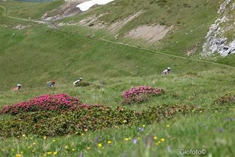 la_via_del_sale