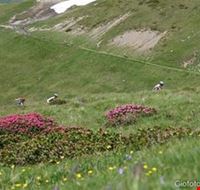 la_via_del_sale la_via_del_sale