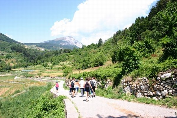 camminagrestana