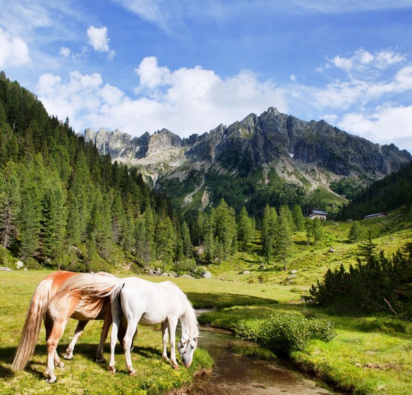 trekking_letterari_nella_natura_della_valsugana_foto_g_panfili