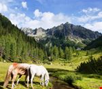 trekking_letterari_nella_natura_della_valsugana_foto_g_panfili trekking_letterari_nella_natura_della_valsugana_foto_g_panfili