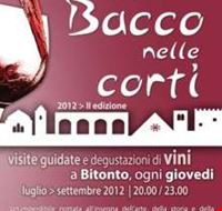 bacco_nelle_corti bacco_nelle_corti