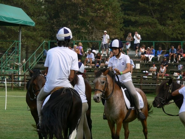 un_immagine_dell_edizione_2011_delle_ponyadi