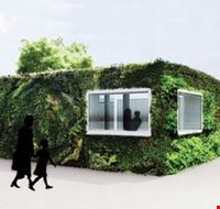 green_home_design green_home_design