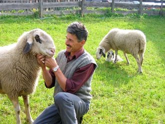 la_pecora_con_gli_occhiali