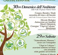 giornate_per_l_ambiente_2012 giornate_per_l_ambiente_2012