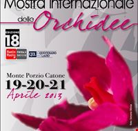 ingresso_gratuito ingresso_gratuito