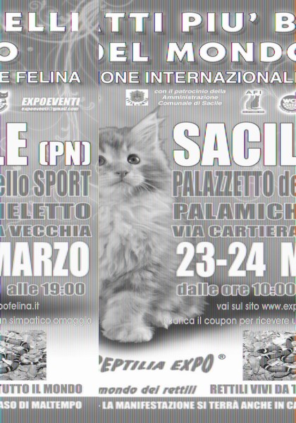 esposizione_internazionale_felina