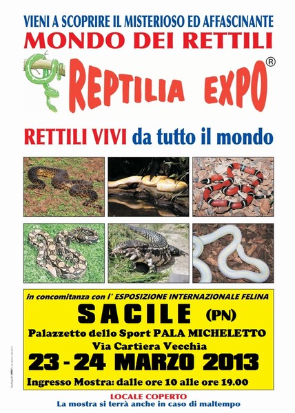 rettili_vivi_da_tutto_il_mondo