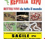 rettili_vivi_da_tutto_il_mondo rettili_vivi_da_tutto_il_mondo