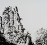 natura_monocroma natura_monocroma
