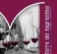 terre_del_sagrantino_2013 terre_del_sagrantino_2013
