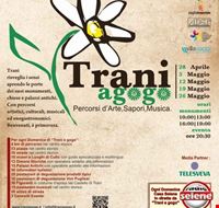 trani_a_go_go trani_a_go_go