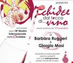 orchidee_dal_tocco_divino orchidee_dal_tocco_divino