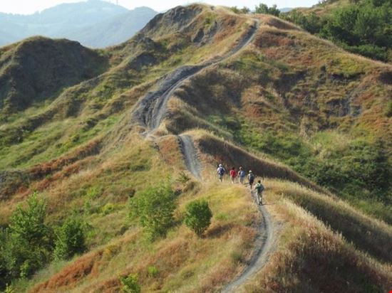 In Viaggio con i Celti Monterenzio