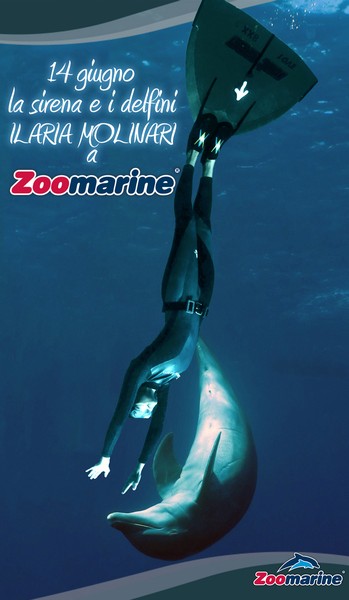 la_sirena_e_i_delfini_locandina